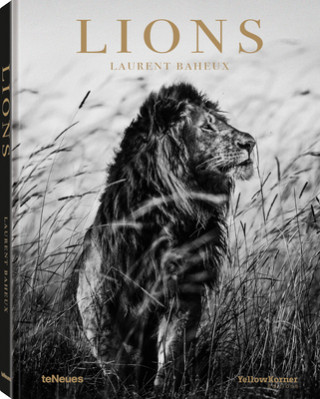Knjiga Lions Laurent Baheux