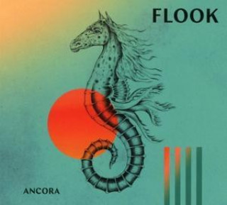 Audio Ancora Flook