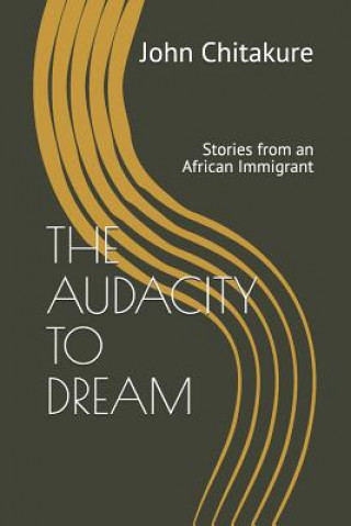 Kniha The Audacity to Dream: Stories from an African Immigrant John Chitakure