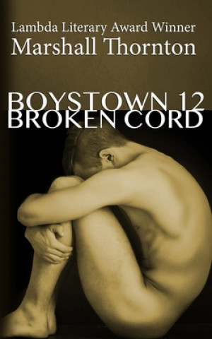 Kniha Boystown 12 Marshall Thornton