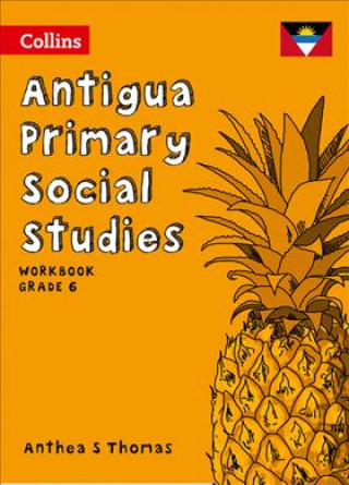 Libro Workbook Grade 6 Anthea S Thomas