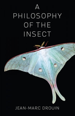 Carte Philosophy of the Insect Jean-Marc Drouin