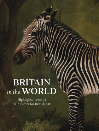 Kniha Britain in the World Martina Droth