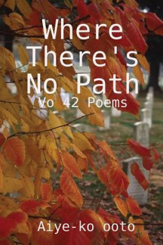 Knjiga Where there's no path Aiye-ko ooto