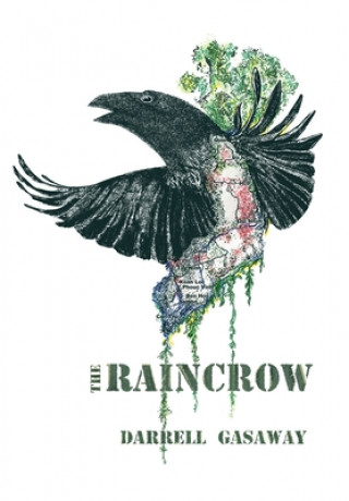 Knjiga Raincrow Gasaway Darrell Gasaway