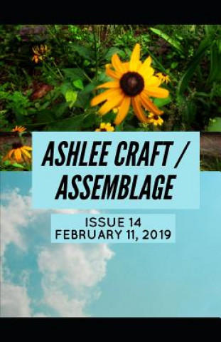 Book Issue 14 (Ashlee Craft / Assemblage) Ashlee Craft