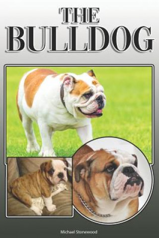 Könyv The Bulldog: A Complete and Comprehensive Owners Guide To: Buying, Owning, Health, Grooming, Training, Obedience, Understanding and Michael Stonewood