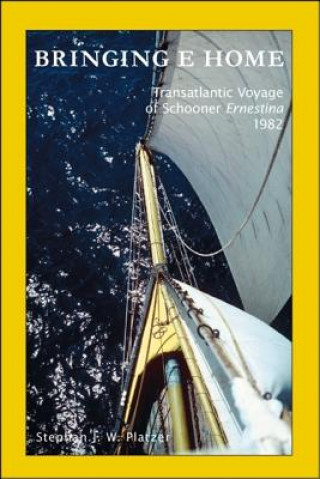 Knjiga Bringing E Home Stephan J.W. Platzer