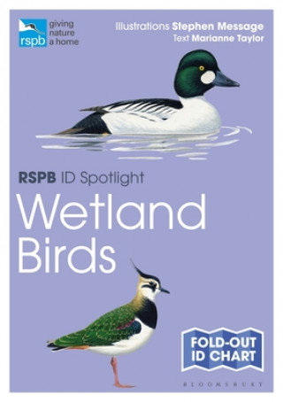 Carte RSPB ID Spotlight - Wetland Birds TAYLOR  MARIANNE