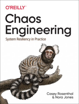 Kniha Chaos Engineering Casey Rosenthal