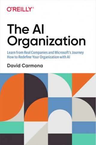 Kniha AI Organization David Carmona