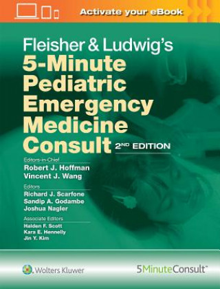 Kniha Fleisher & Ludwig's 5-Minute Pediatric Emergency Medicine Consult Robert J. Hoffman