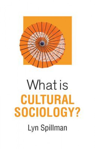 Buch What is Cultural Sociology? Lynette Spillman