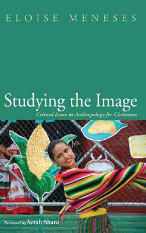 Knjiga Studying the Image Meneses Eloise Meneses