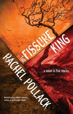 Kniha Fissure King Pollack Rachel Pollack