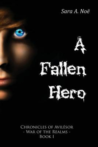 Boek Fallen Hero Noe Sara A. Noe