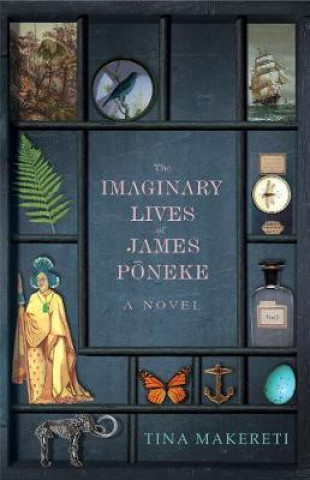 Kniha Imaginary Lives of James Poneke Tina Makereti