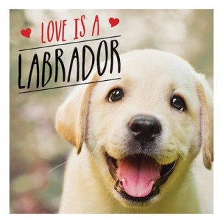 Könyv Love is a Labrador Charlie Ellis