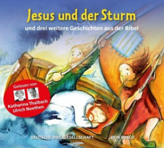 Audio Jesus und der Sturm Rainer Oleak