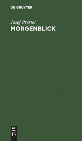 Book Morgenblick Josef Prestel