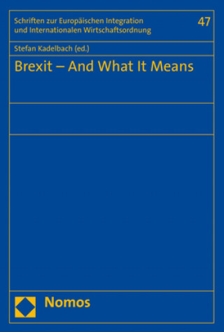 Kniha Brexit - And What It Means Stefan Kadelbach