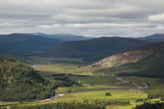 Knjiga Alec Finlay - Gathering. A Place Aware Guide To The Cairngorms 