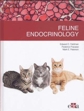 Книга FELINE ENDOCRINOLOGY EDWARD FELDMAN