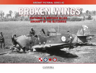 Carte Broken Wings: Captured & Wrecked Aircraft of the Blitzkrieg Tom Laemlein