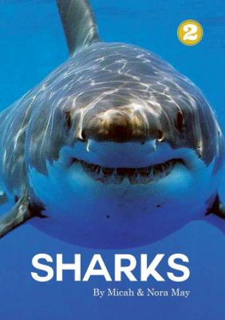 Buch Sharks May Micah May
