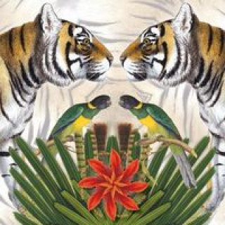 Kniha Karnet kwadrat z kopertą Bengal Tiger 