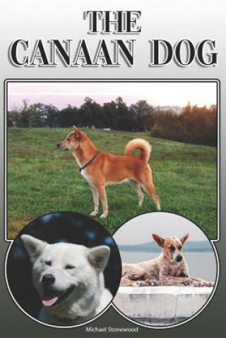 Kniha The Canaan Dog: A Complete and Comprehensive Owners Guide To: Buying, Owning, Health, Grooming, Training, Obedience, Understanding and Michael Stonewood