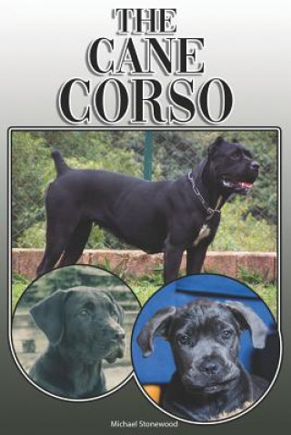 Könyv The Cane Corso: A Complete and Comprehensive Owners Guide To: Buying, Owning, Health, Grooming, Training, Obedience, Understanding and Michael Stonewood