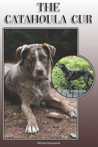 Книга The Catahoula Cur: A Complete and Comprehensive Owners Guide To: Buying, Owning, Health, Grooming, Training, Obedience, Understanding and Michael Stonewood