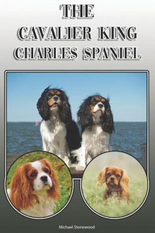 Kniha The Cavalier King Charles Spaniel: A Complete and Comprehensive Owners Guide To: Buying, Owning, Health, Grooming, Training, Obedience, Understanding Michael Stonewood