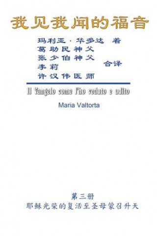 Buch The Gospel As Revealed to Me (Vol 3) - Simplified Chinese Edition: &#25105;&#35265;&#25105;&#38395;&#30340;&#31119;&#38899;&#65288;&#31532;&#19977;&#2 Maria Valtorta