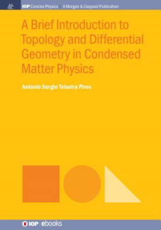 Könyv Brief Introduction to Topology and Differential Geometry in Condensed Matter Physics Antonio Sergio Teixeira Pires