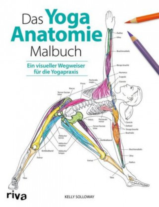 Kniha Das Yoga-Anatomie-Malbuch Kelly Solloway