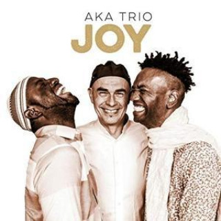 Audio Joy Aka Trio