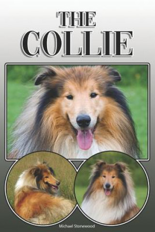 Könyv The Collie: A Complete and Comprehensive Owners Guide To: Buying, Owning, Health, Grooming, Training, Obedience, Understanding and Michael Stonewood