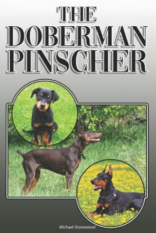 Książka The Doberman Pinscher: A Complete and Comprehensive Owners Guide To: Buying, Owning, Health, Grooming, Training, Obedience, Understanding and Michael Stonewood