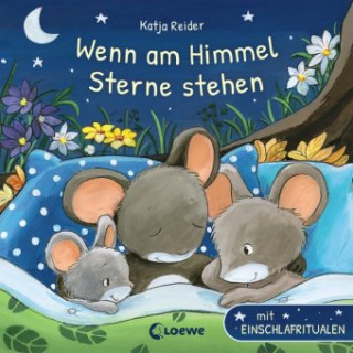 Kniha Wenn am Himmel Sterne stehen Katja Reider