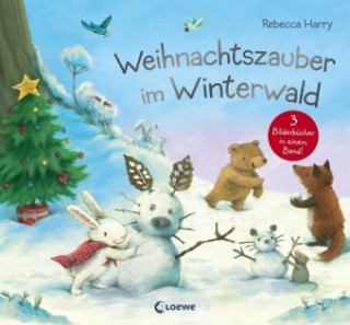Kniha Weihnachtszauber im Winterwald Timothy Knapman