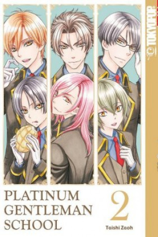 Buch Platinum Gentleman School 02 Taishi Zaoh