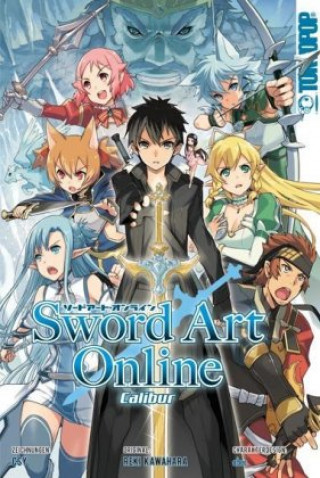 Könyv Sword Art Online - Calibur Reki Kawahara