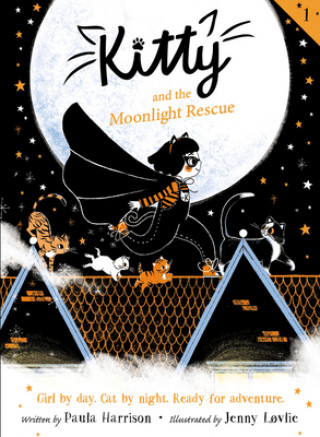 Könyv Kitty and the Moonlight Rescue Paula Harrison