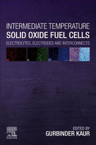 Kniha Intermediate Temperature Solid Oxide Fuel Cells Gurbinder Kaur