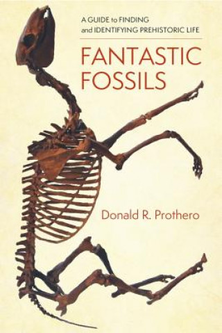 Kniha Fantastic Fossils Donald R. Prothero