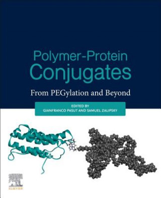 Kniha Polymer-Protein Conjugates Gianfranco Pasut