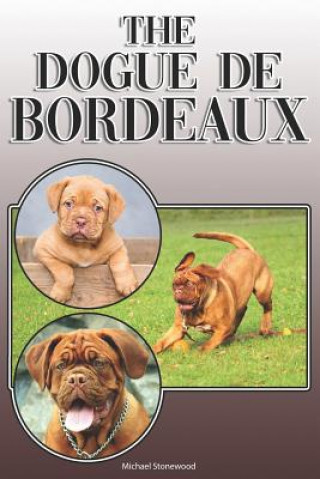Könyv The Dogue de Bordeaux: A Complete and Comprehensive Owners Guide To: Buying, Owning, Health, Grooming, Training, Obedience, Understanding and Michael Stonewood