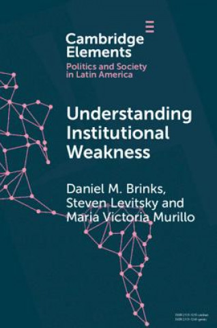 Könyv Understanding Institutional Weakness Daniel M. Brinks